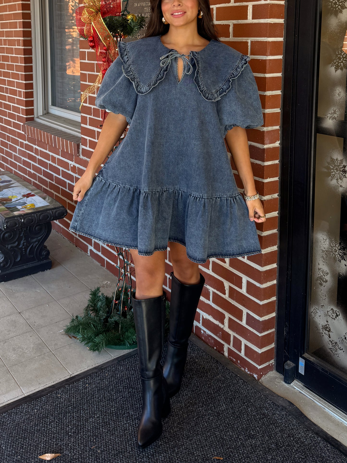 Darling Collared Denim Dress