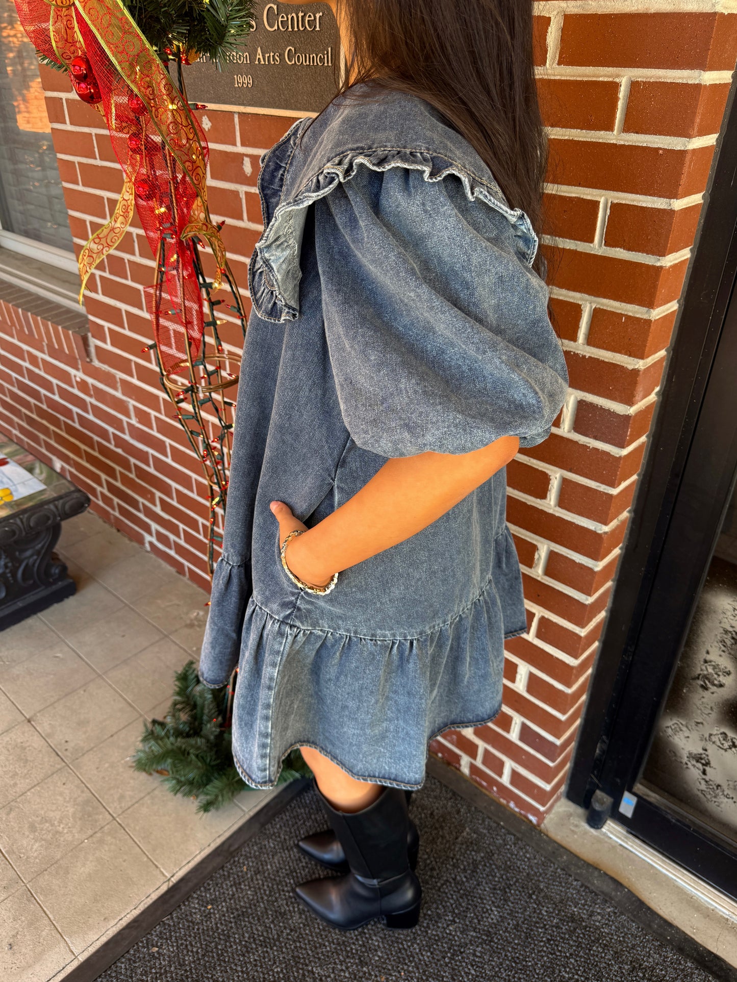 Darling Collared Denim Dress