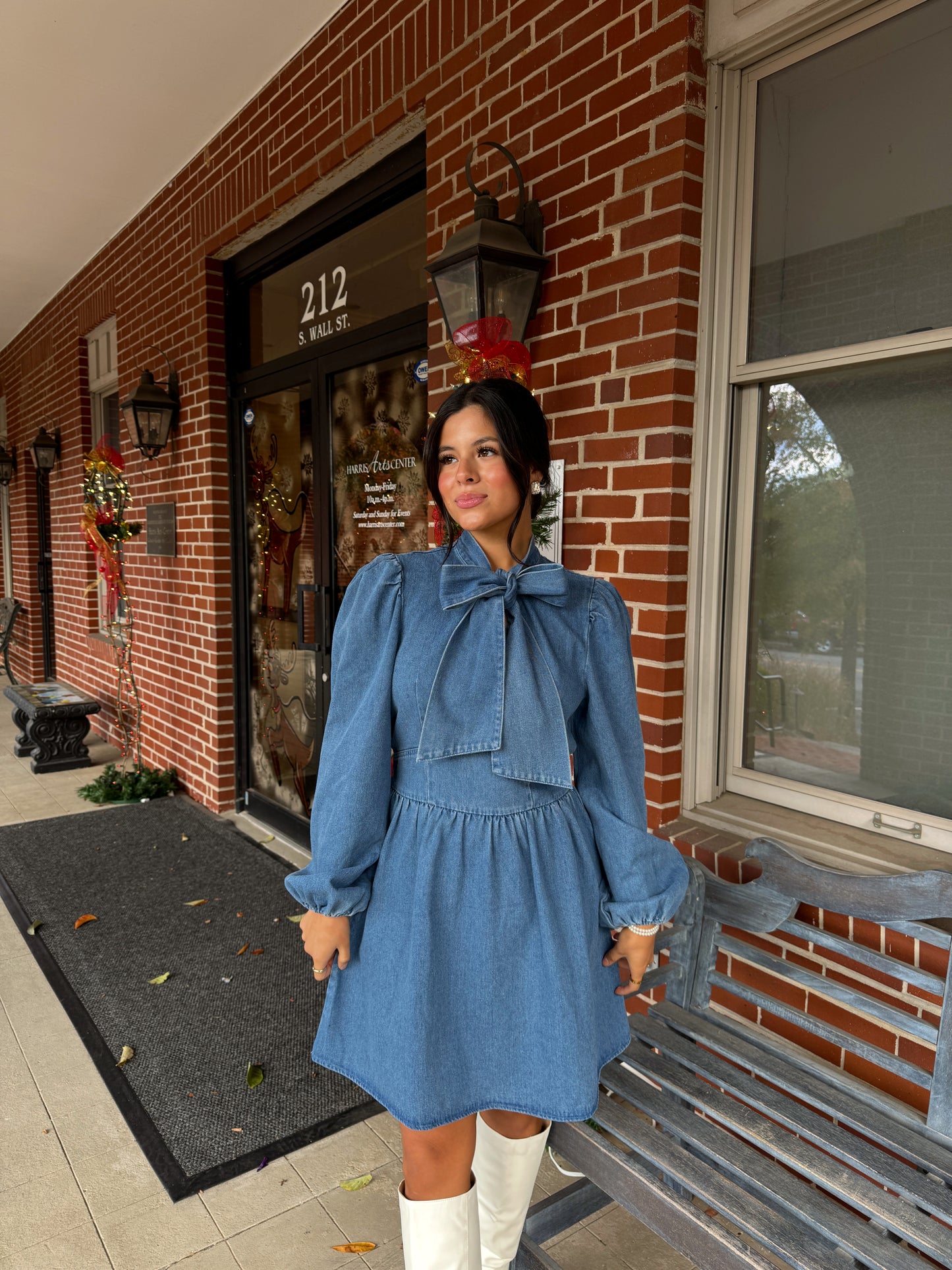Denim Bow Mockneck Dress