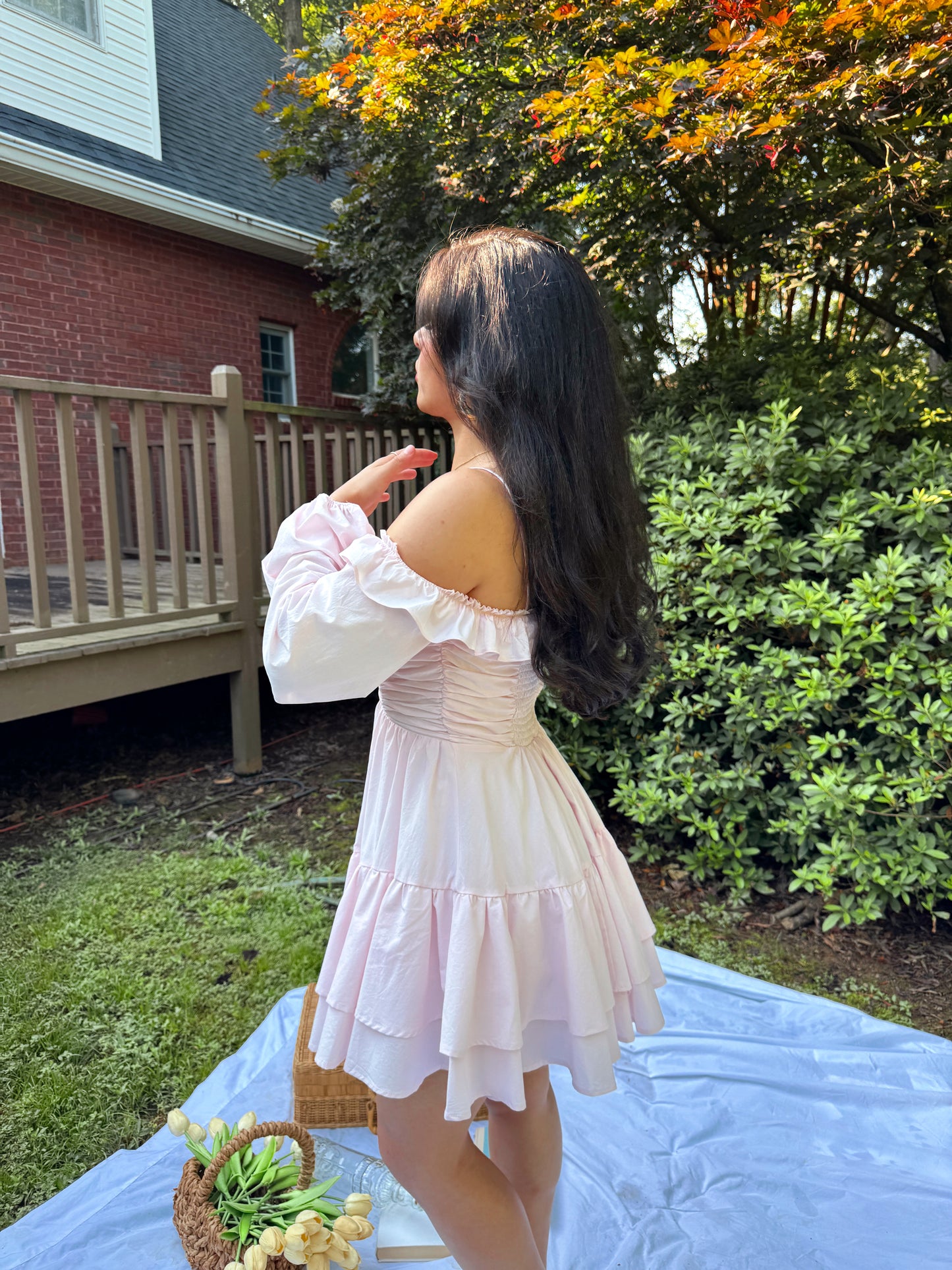 Baby Pink Poplin Dress
