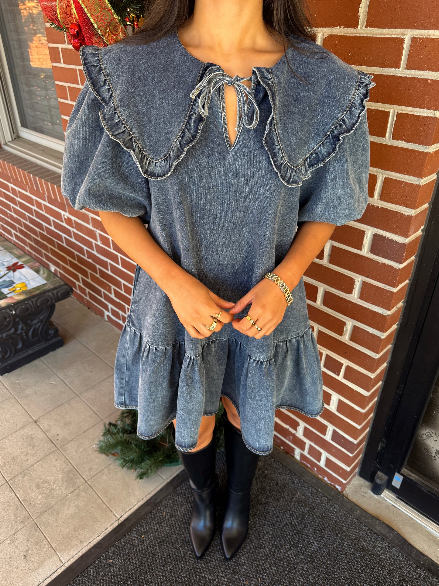 Darling Collared Denim Dress