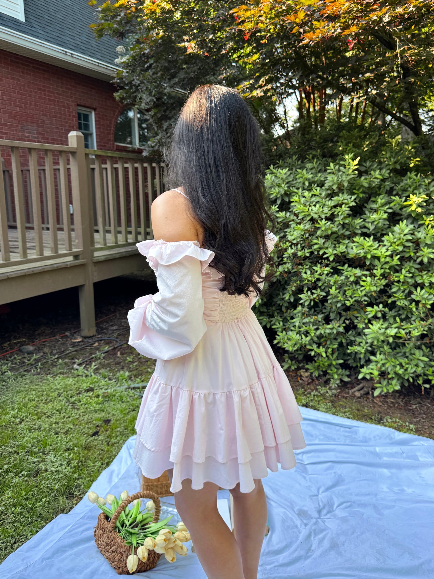Baby Pink Poplin Dress