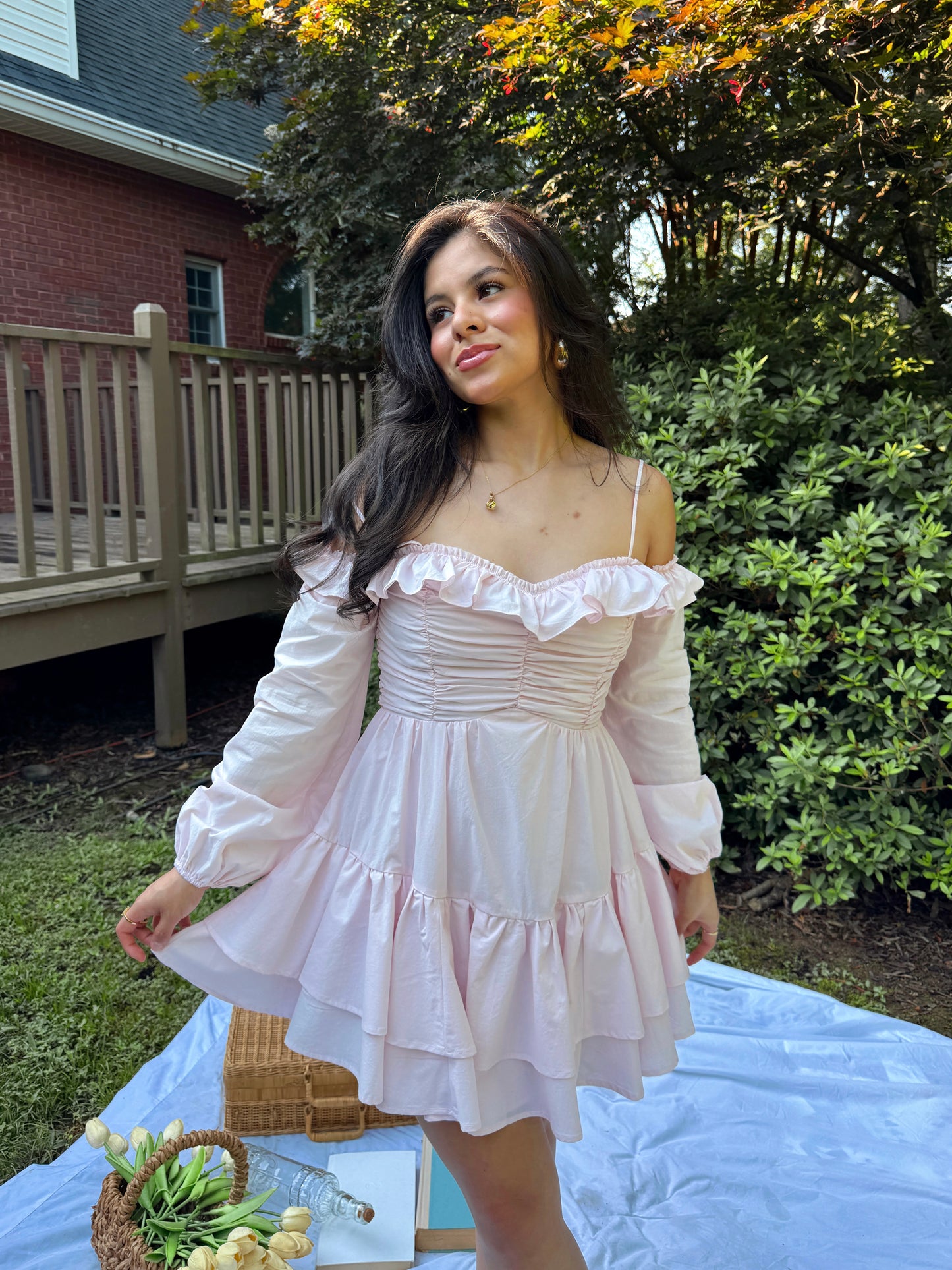 Baby Pink Poplin Dress