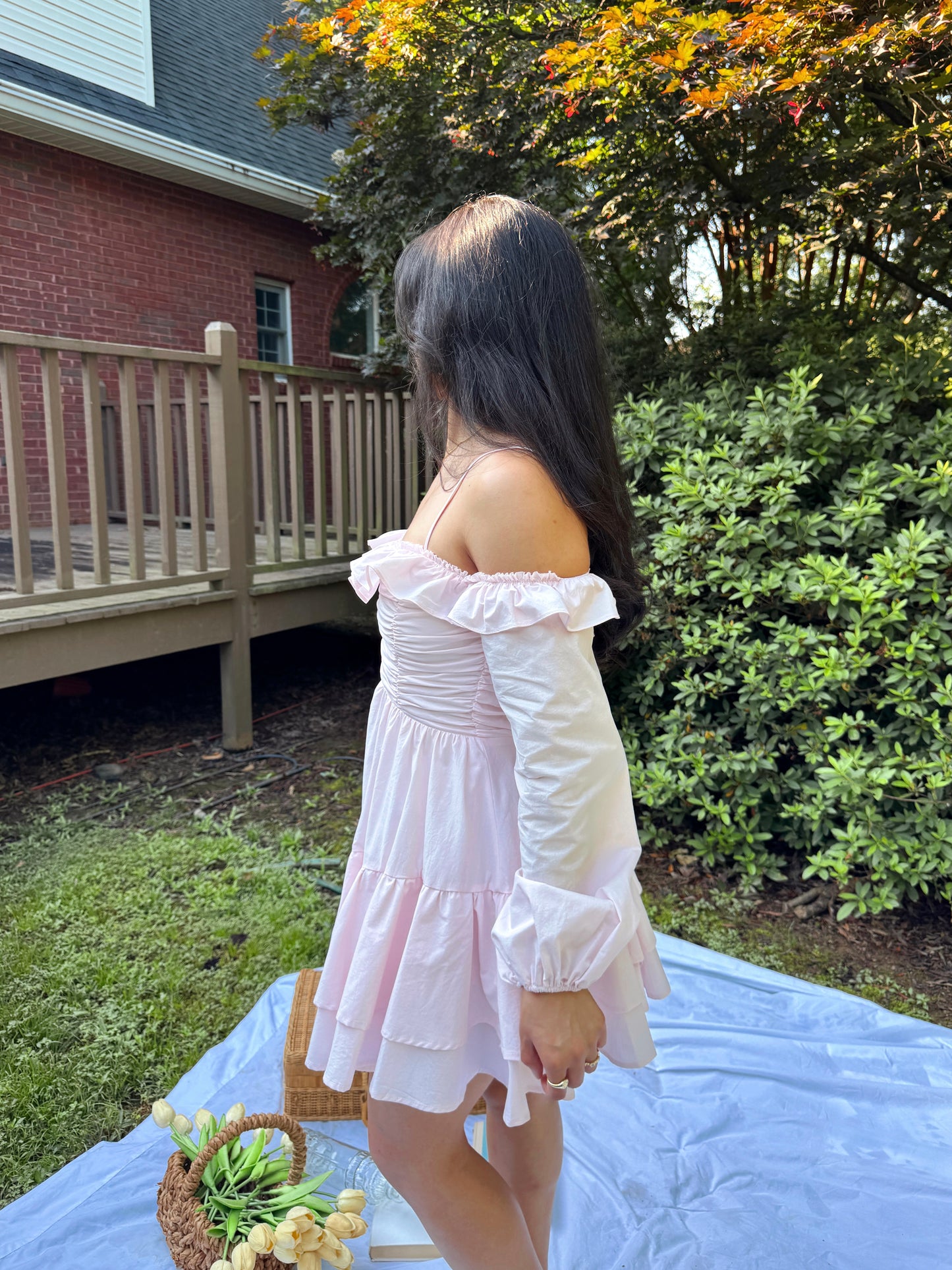 Baby Pink Poplin Dress