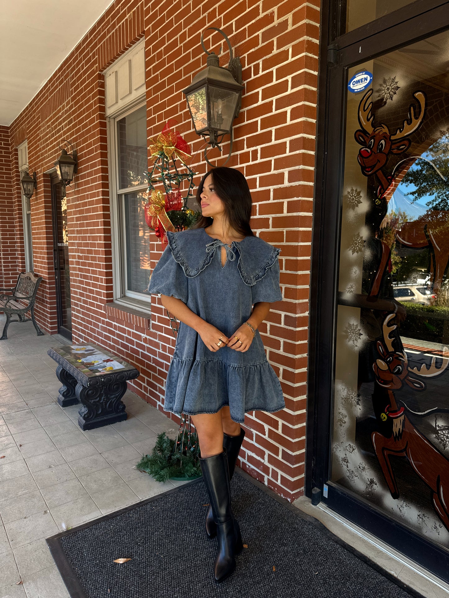 Darling Collared Denim Dress