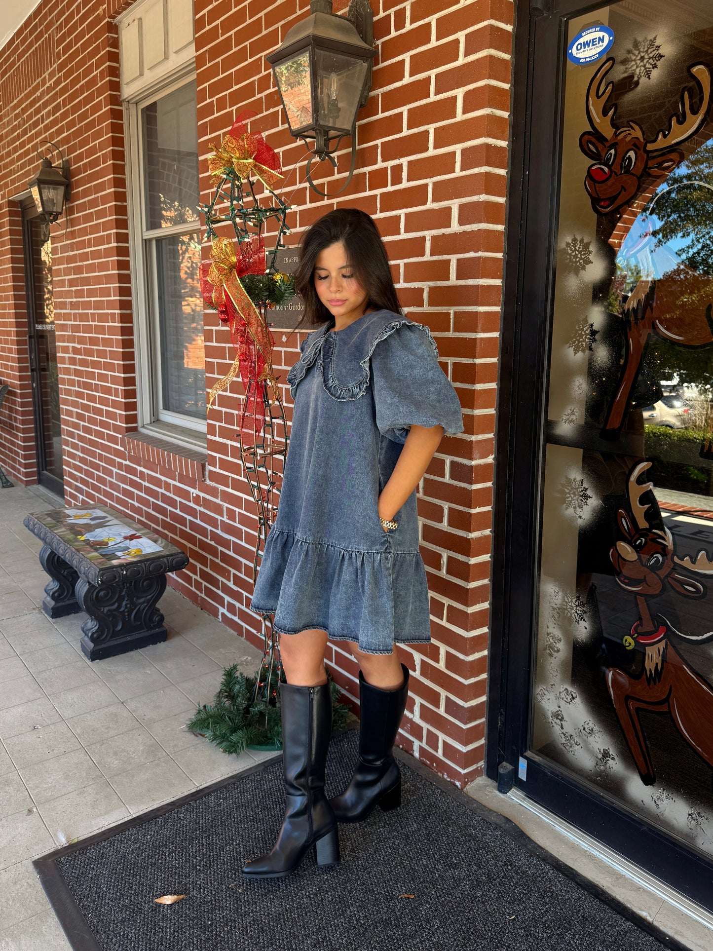 Darling Collared Denim Dress