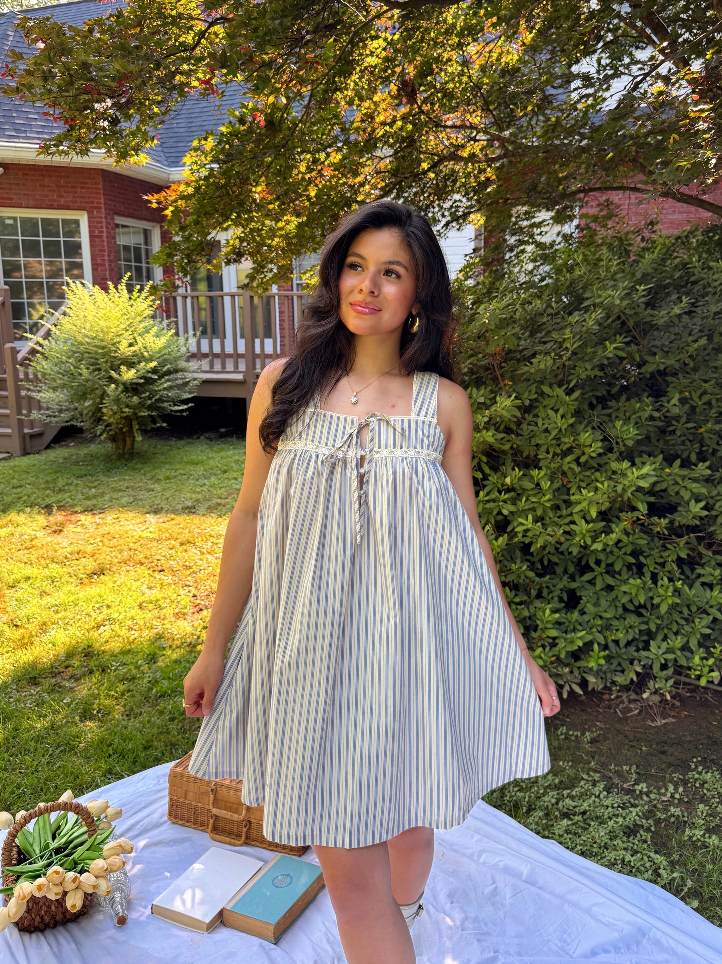 Blue Stripe Babydoll Dress