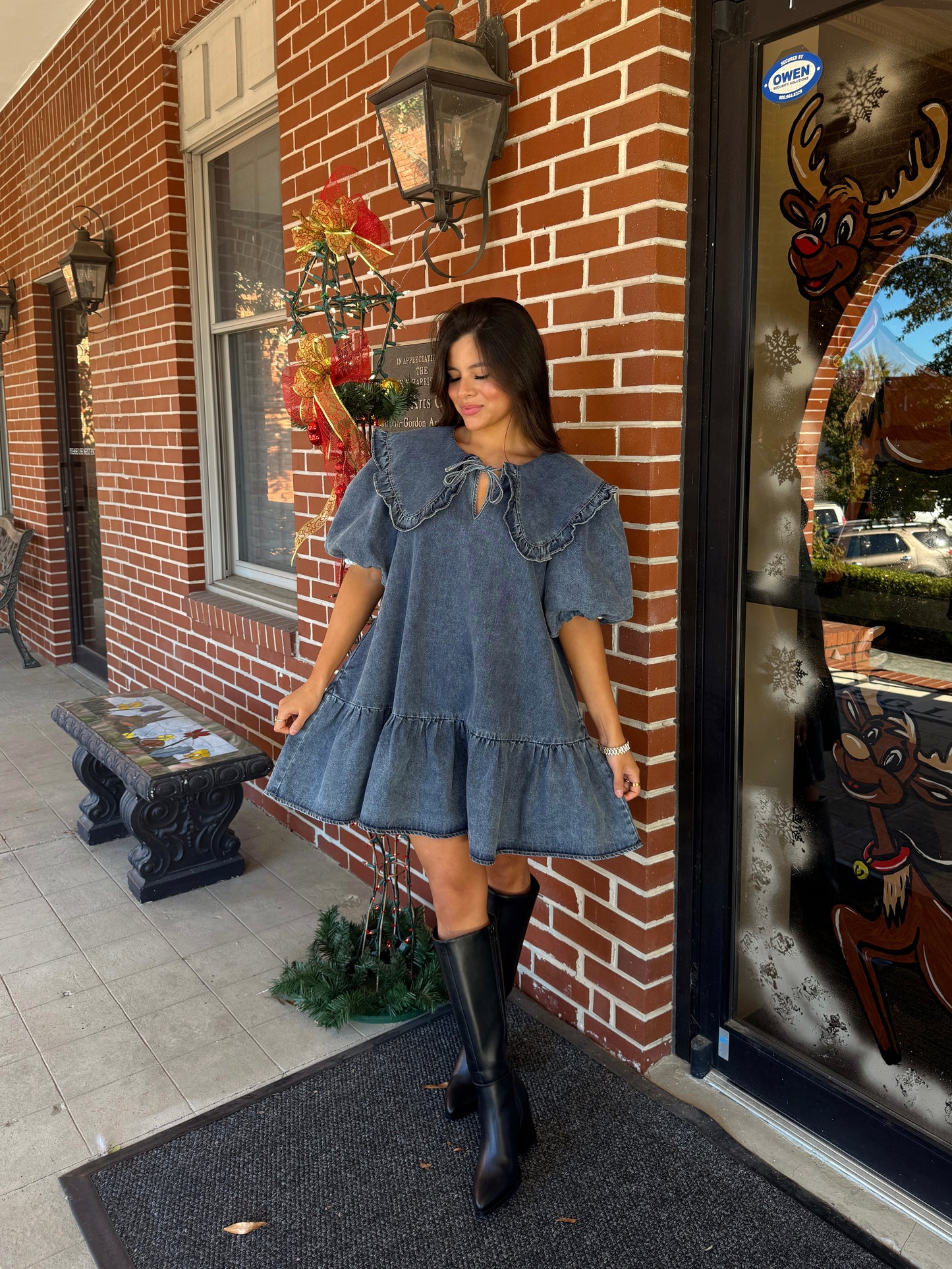 Darling Collared Denim Dress