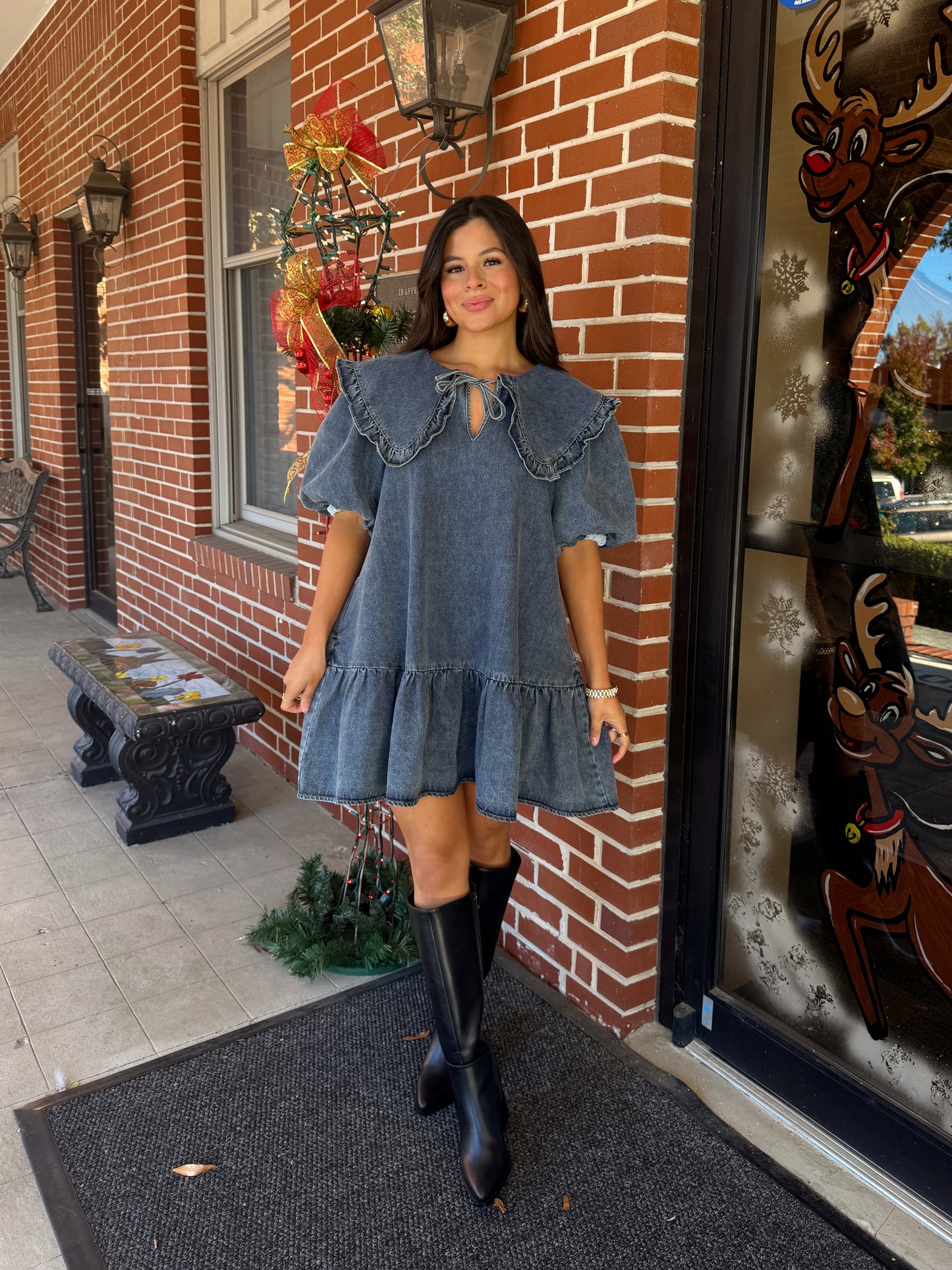 Darling Collared Denim Dress
