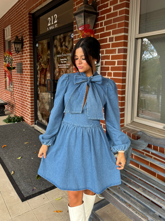 Denim Bow Mockneck Dress