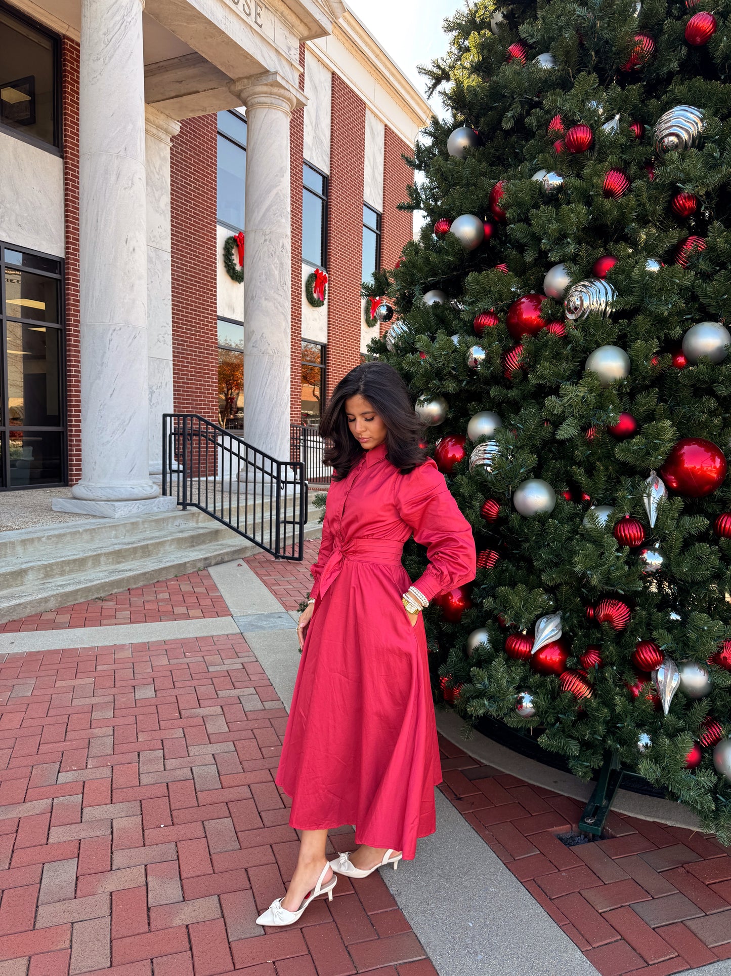 The Winter Rose Dress