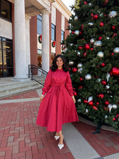 The Winter Rose Dress