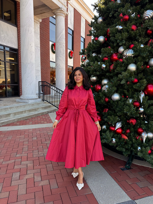The Winter Rose Dress