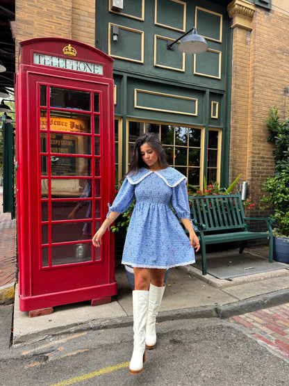 Baby Blue Peter Pan Collared Dress