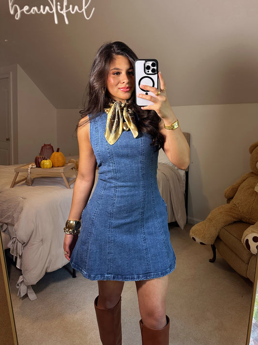 Denim Fit & Flare Stretch Mini Dress