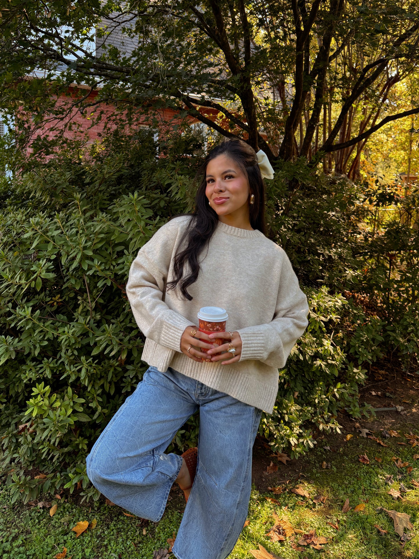 Crisp Evenings Bow Sweater