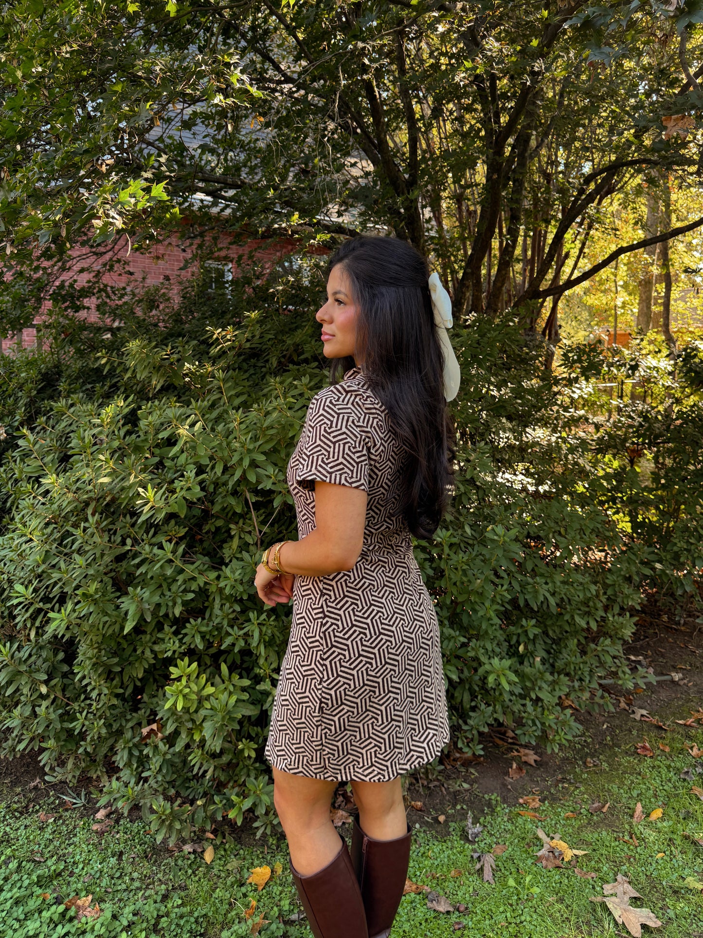 Hazelnut Geometric Dress