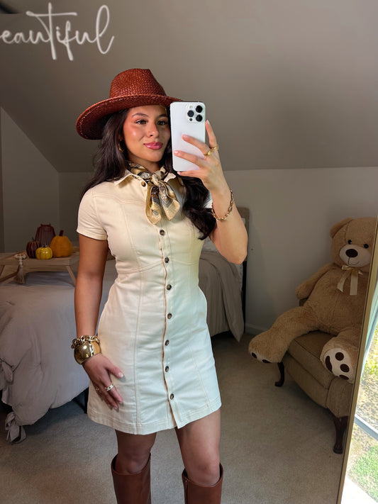 Oatmeal Button Up Shirt Dress