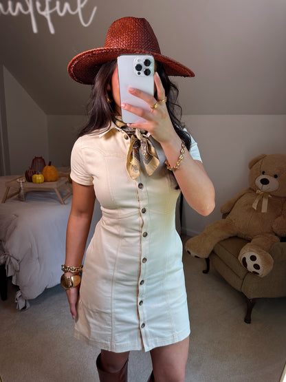 Oatmeal Button Up Shirt Dress
