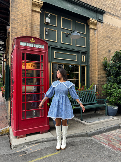 Baby Blue Peter Pan Collared Dress