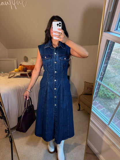Denim Pleated Button-Up Dress