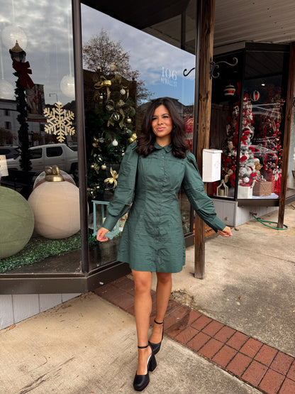 The Evergreen Elegance Dress