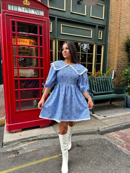 Baby Blue Peter Pan Collared Dress