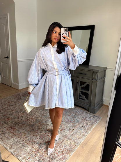 Rue Belle Stripe Dress
