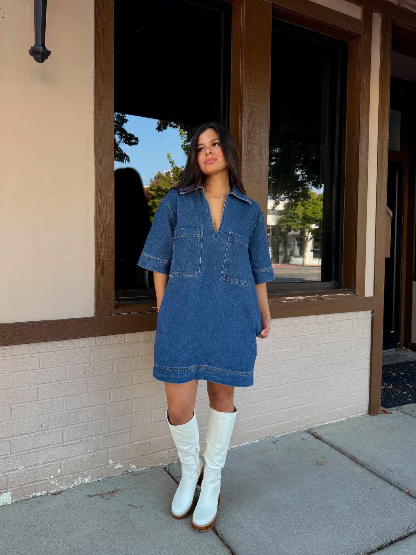 Denim Collared Short Dress