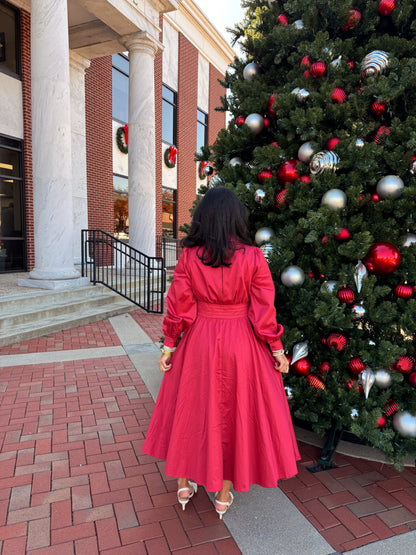 The Winter Rose Dress