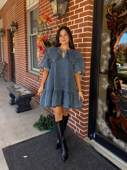 Darling Collared Denim Dress